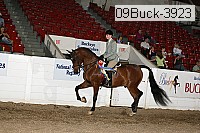 09buck-3923 proof
