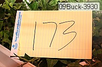 09buck-3930 proof