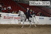 09buck-3934 proof