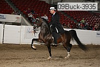 09buck-3935 proof