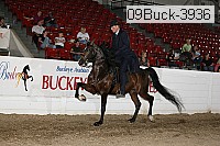 09buck-3936 proof
