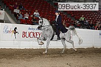 09buck-3937 proof