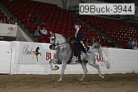 09buck-3944 proof