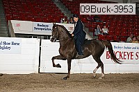 09buck-3953 proof