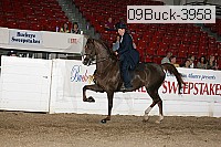 09buck-3958 proof
