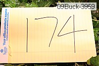 09buck-3959 proof