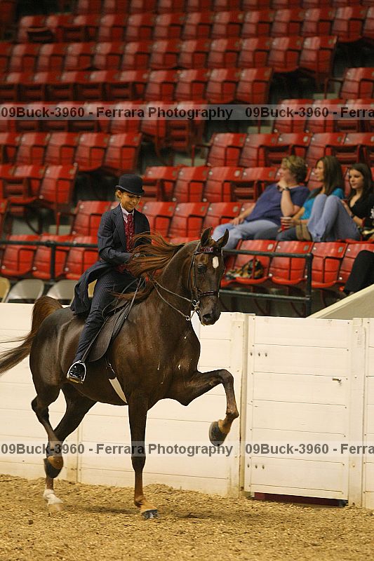 Proof 09buck-3960