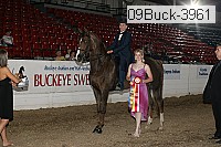 09buck-3961 proof