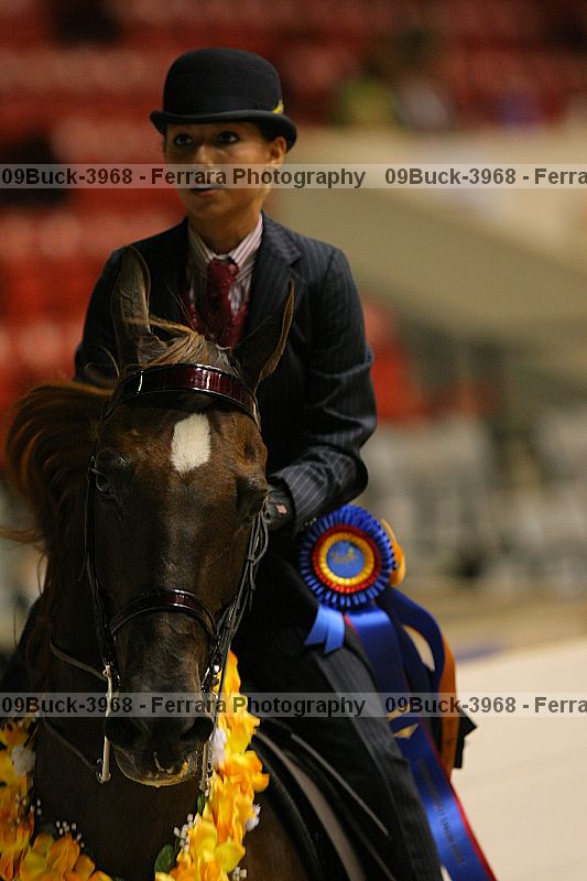 Proof 09buck-3968