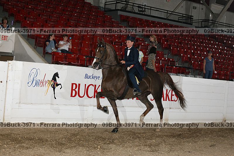 Proof 09buck-3971