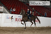 09buck-3971 proof