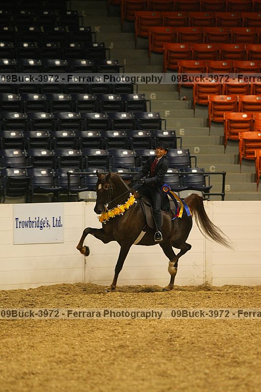 Proof 09buck-3972