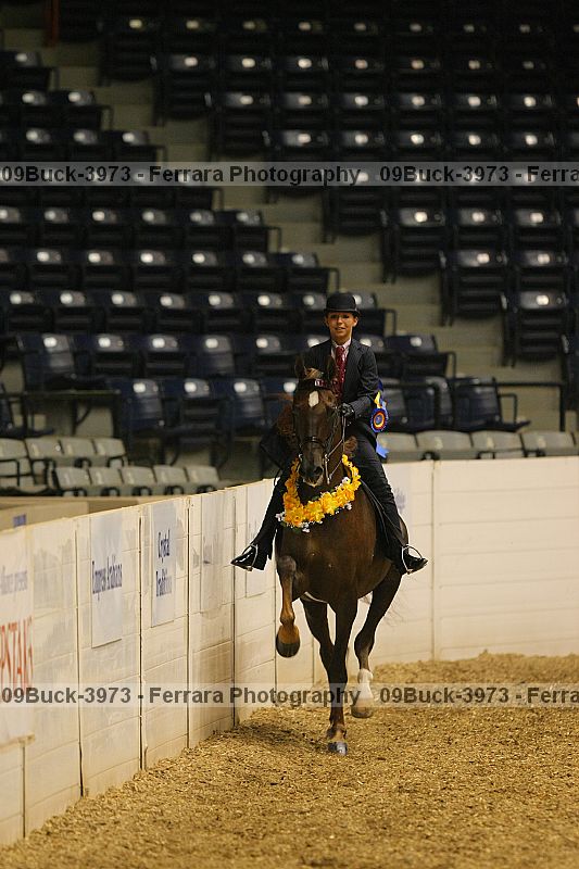 Proof 09buck-3973