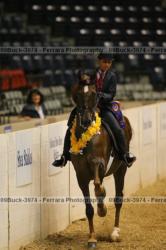 Proof 09buck-3974