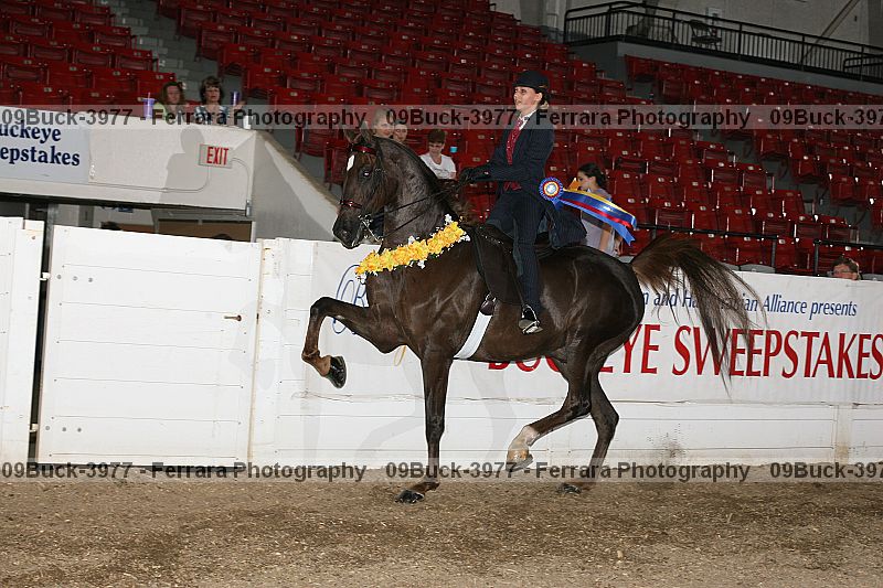 Proof 09buck-3977