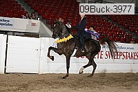 09buck-3977 proof