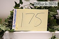 09buck-3978 proof