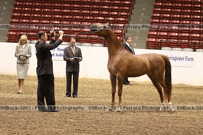 Proof 09buck-3983