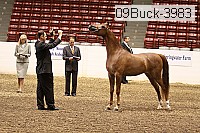 09buck-3983 proof