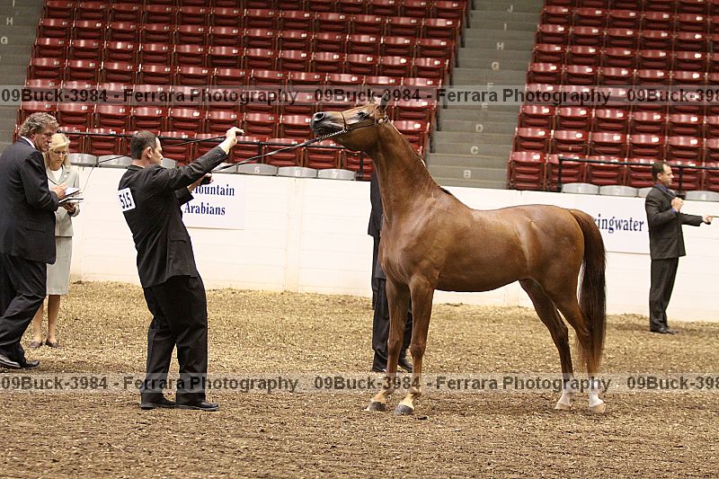 Proof 09buck-3984