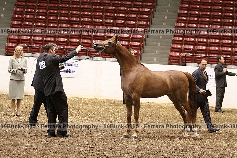 Proof 09buck-3985