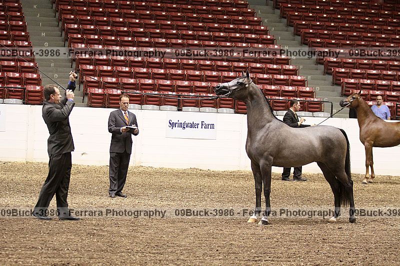 Proof 09buck-3986