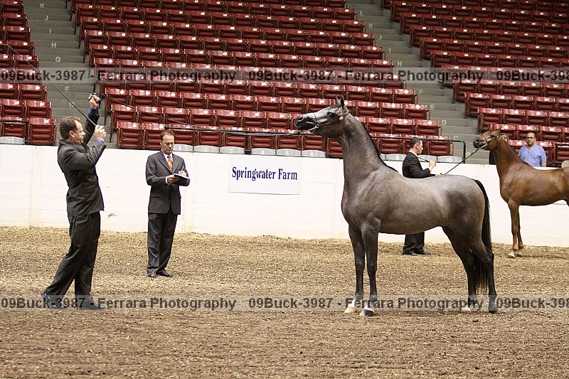 Proof 09buck-3987