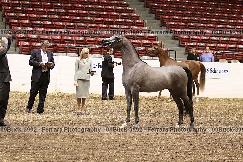 Proof 09buck-3992
