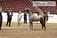 09buck-3992 proof