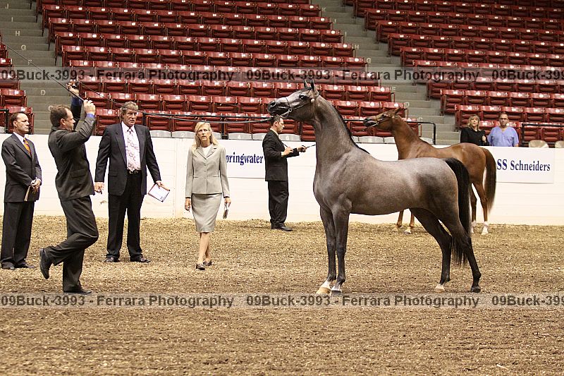 Proof 09buck-3993