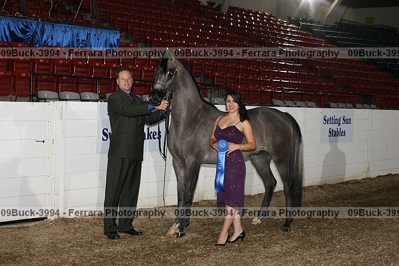 Proof 09buck-3994