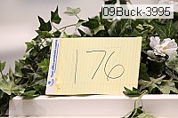 09buck-3995 proof