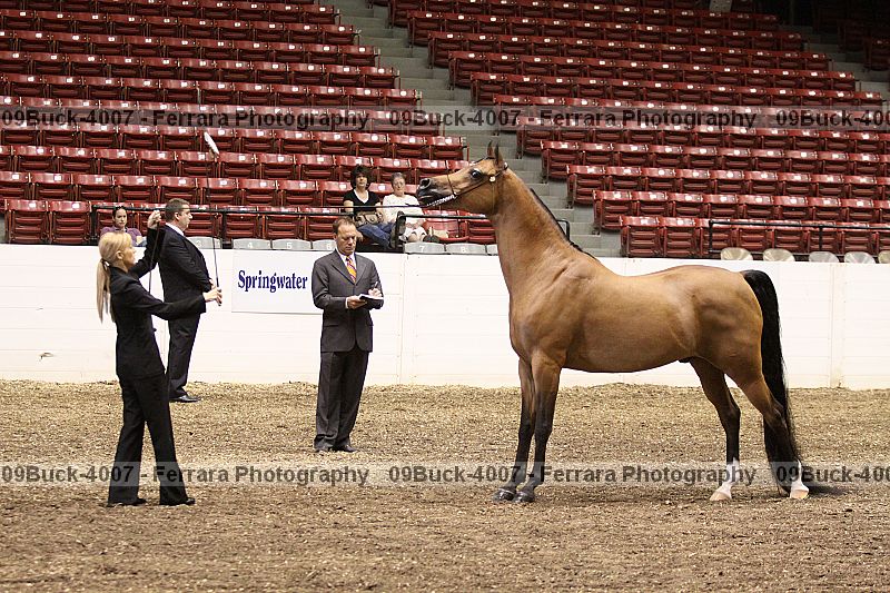 Proof 09buck-4007