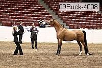 09buck-4008 proof