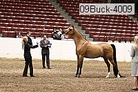 09buck-4009 proof
