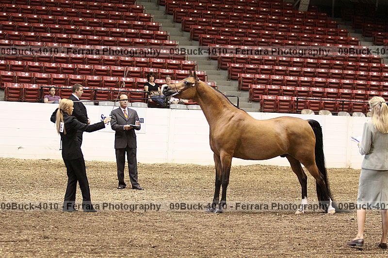 Proof 09buck-4010