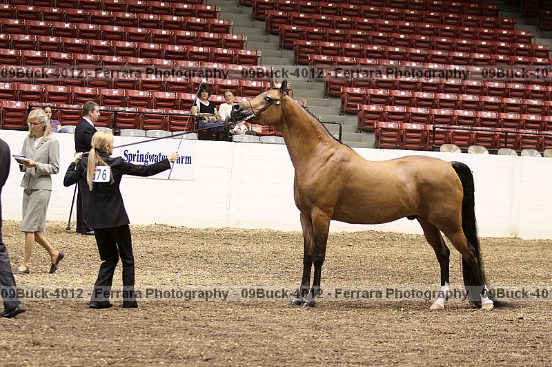 Proof 09buck-4012