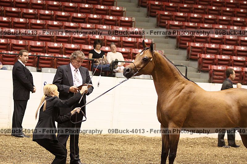 Proof 09buck-4013
