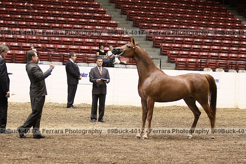 Proof 09buck-4017