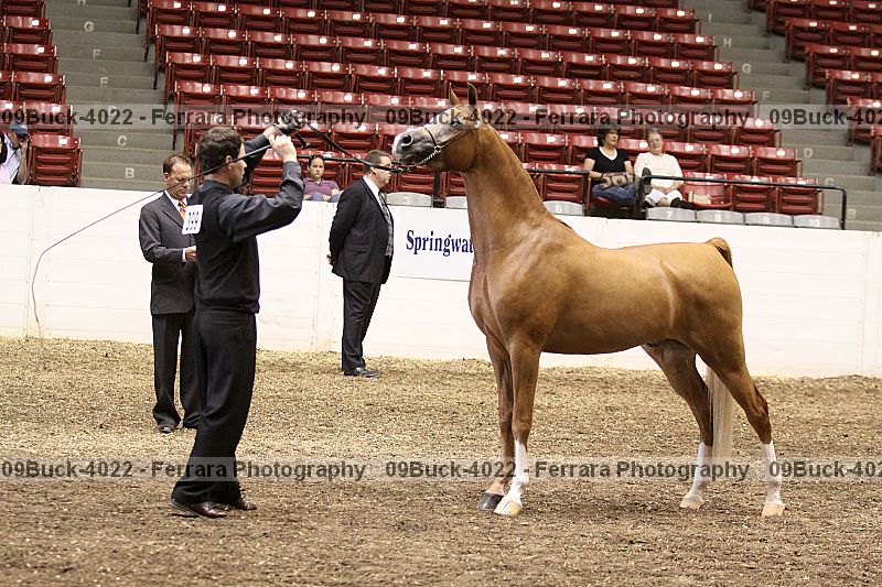 Proof 09buck-4022