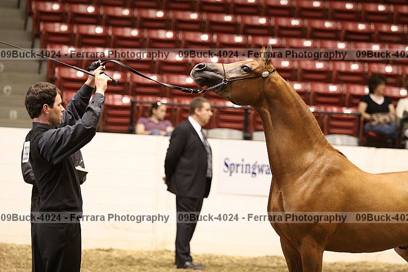Proof 09buck-4024