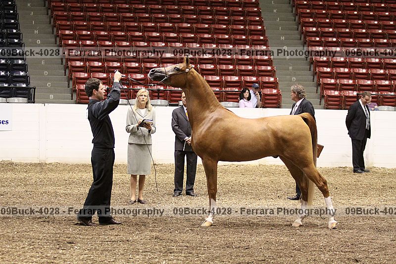 Proof 09buck-4028