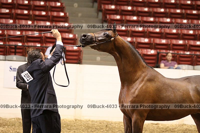 Proof 09buck-4033