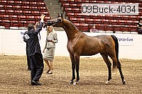 09buck-4034 proof