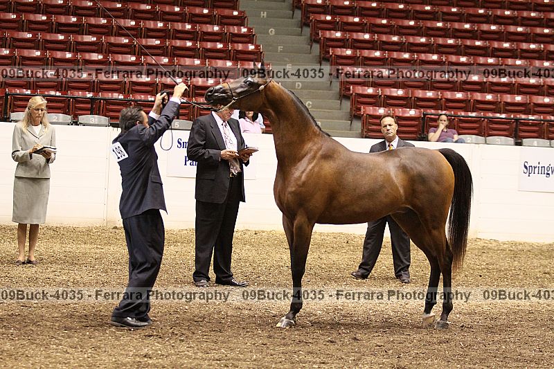 Proof 09buck-4035