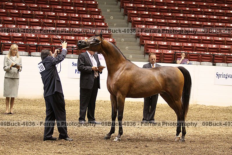Proof 09buck-4036