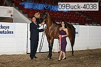 09buck-4038 proof