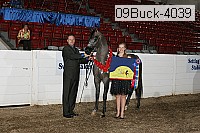 09buck-4039 proof