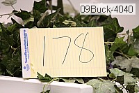 09buck-4040 proof