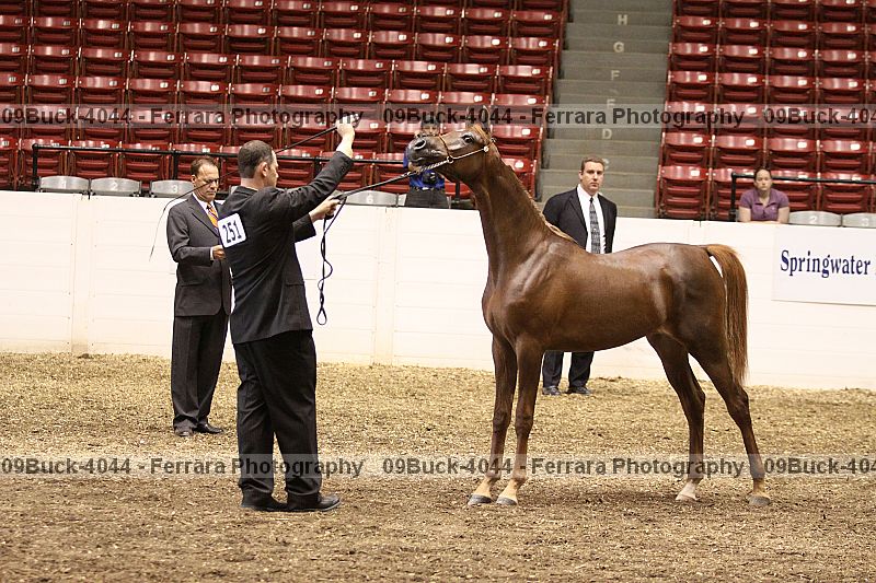 Proof 09buck-4044